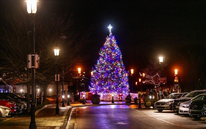 Hamilton Tree Lighting
