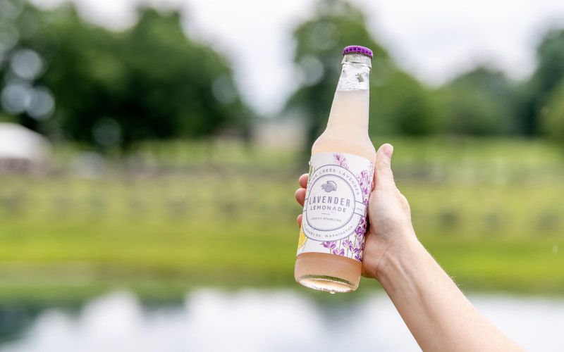 Lavender Lemonade