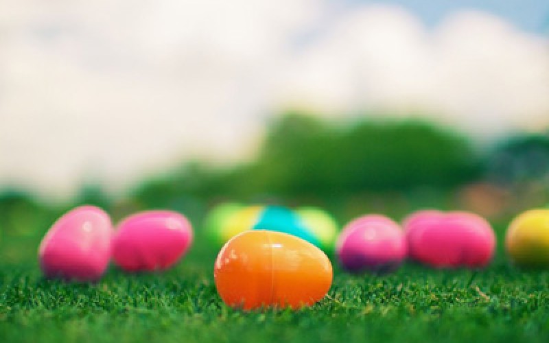 Easter egg Hunt Harbin Park