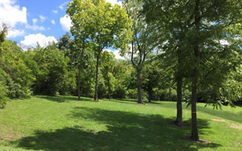 Monroe Community Park