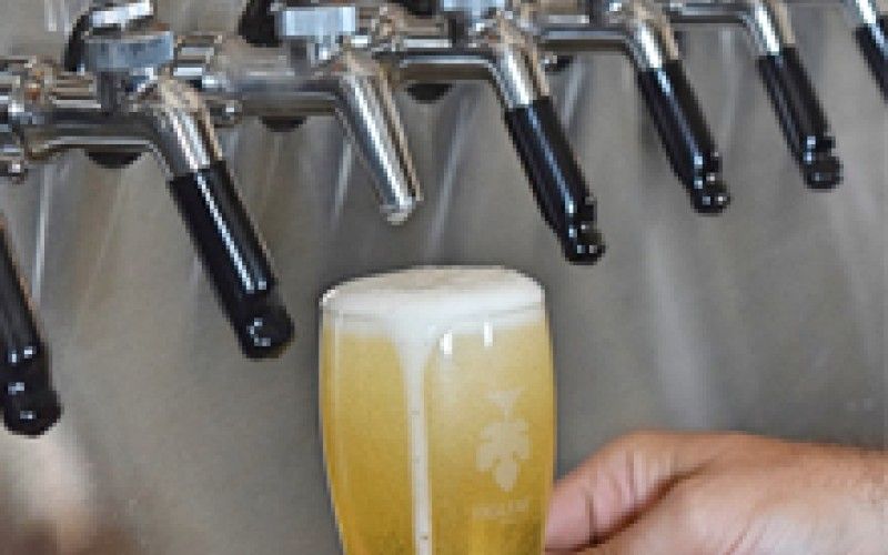 Image file figleafbrewingco.jpg