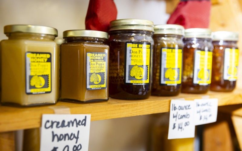 Image file BA4A0199_32B42E73-DAC9-DF45-E5E9FFB723F07493-32b425ee0331e04_32b4b587-d06b-d2dc-86c75c8cb36c5149.jpg