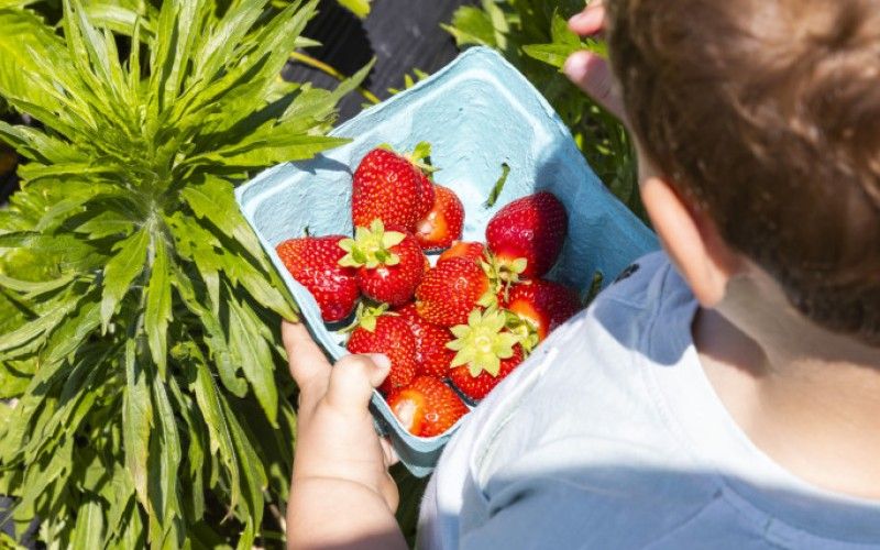 Image file BA4A0569_5EAFA0FD-CB61-35AD-2C9E7620A07D6CDF-5eaf8dbdefbc66c_5eb026a8-d934-f16a-be33d8928f8e131f.jpg