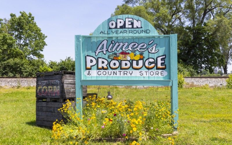 Image file BA4A0813_412B6ECC-F61E-64D2-8ABBCA5222C350E4-412b5e2be5b079d_412bfc15-fdb9-9297-15f6d3d7fadfef77.jpg