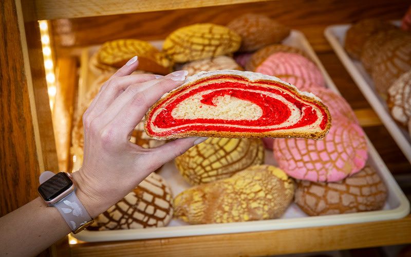 Image file elcaminofairfield_1A1E74B6-C53A-D01D-CEB3589A033EA40D-1a1e73c7063c8f8_1a1e7b18-a4c5-5471-04f8f1bf10cdc85b.jpg