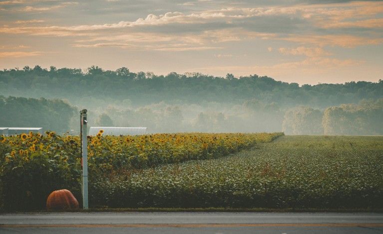 Burwinkel Farms