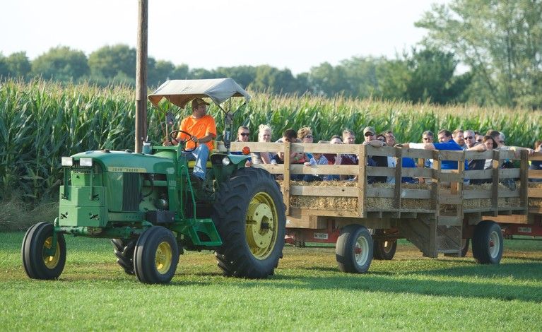 Niederman Family Farm Fall Festival
