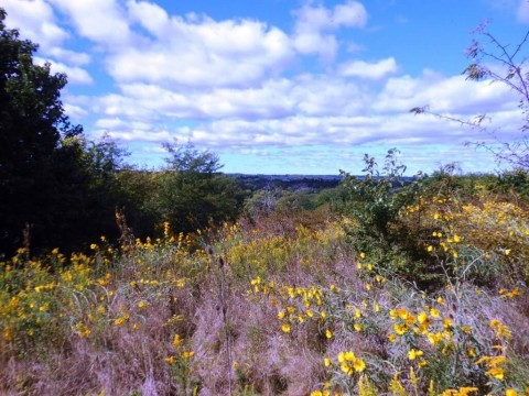 Forest Run Park Hamilton, OH