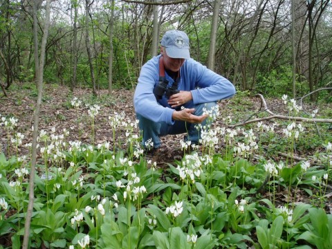 Bull's Run Arboretum