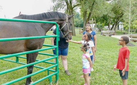 Fun on the Farm