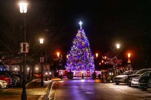 Hamilton Tree Lighting