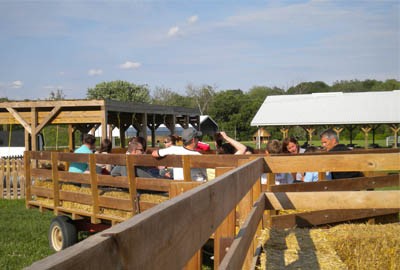 Content image Image file fallfest.jpg