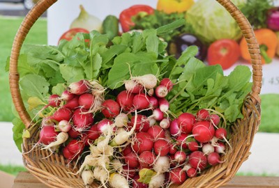 Content image Image file farmersmarketeventphoto.jpg