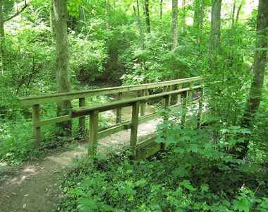 Content image Image file Keehner-Park-Trees_fac2119c-5056-a36a-09cc7b98b65ad74b.jpg
