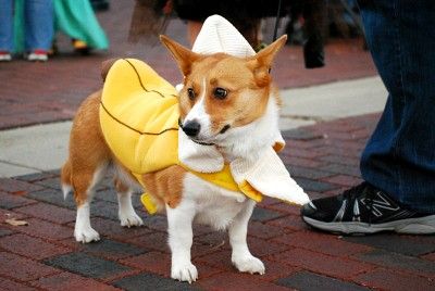 Uptown Trick or Treat