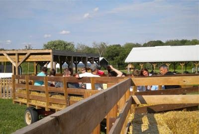 Image file fallfest.jpg
